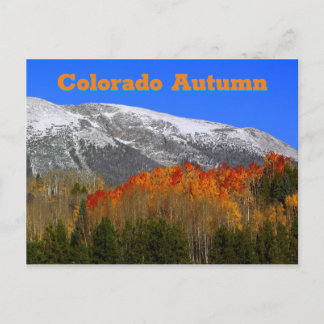 Colorado Autumn Postcard