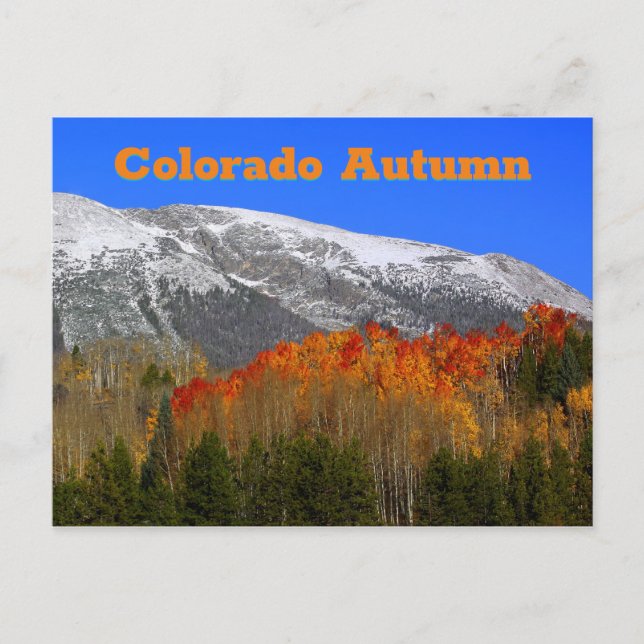 Colorado Autumn Postcard (Front)