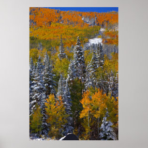 Colorado Autumn Poster