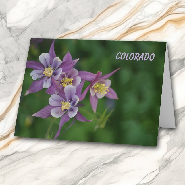 Colorado Blue Columbine All Occasion Greeting Card (Creator Uploaded)