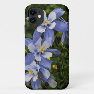 Colorado Blue Columbine near Telluride Colorado iPhone 11 Case