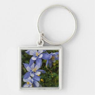 Colorado Blue Columbine near Telluride Colorado Key Ring