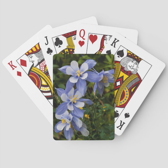 Colorado Blue Columbine near Telluride Colorado Playing Cards (Back)