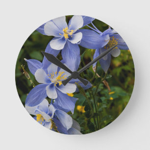 Colorado Blue Columbine near Telluride Colorado Round Clock