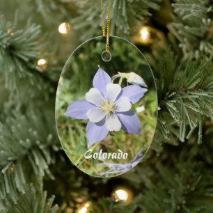 Colorado Blue Columbine Ornament