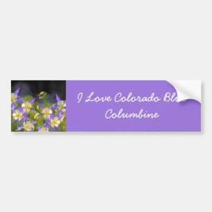 Colorado Blue Columbine Painting - Original Art Bumper Sticker