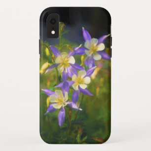 Colorado Blue Columbine Painting - Original Art iPhone XR Case