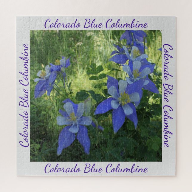 Colorado Blue Columbine Wildflower Puzzle (Vertical)