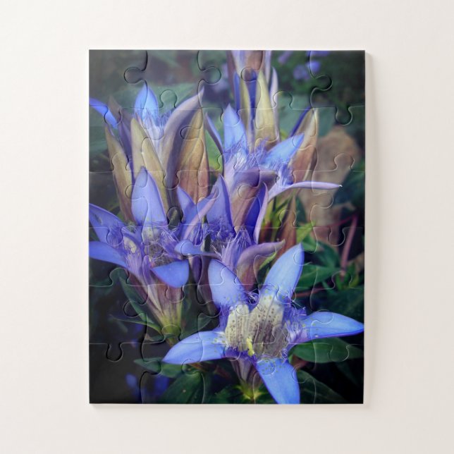 Colorado Blue Gentians Photo Jigsaw Puzzle (Vertical)