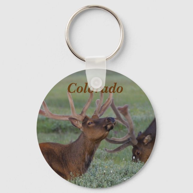 Colorado Bugling elk key chain (Front)