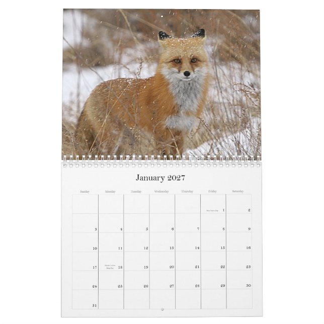 Colorado Calendar (Jan 2027)
