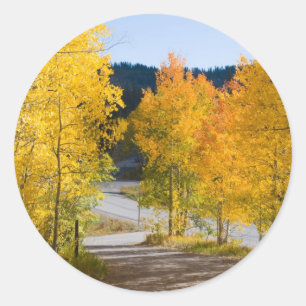 Colorado Colour Stickers