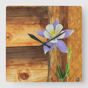 Colorado Columbine and Wood Square Wall Clock