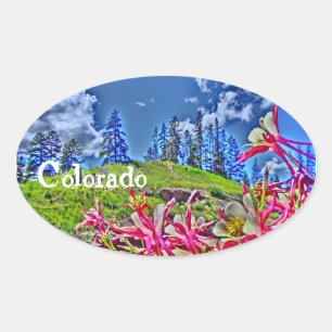 Colorado columbine sticker