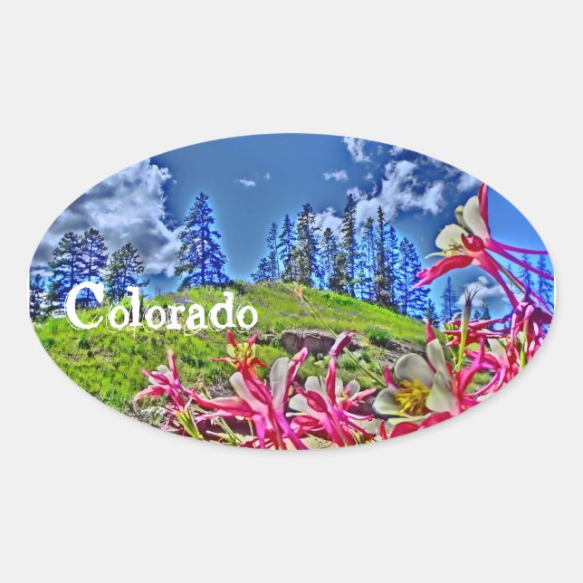 Colorado columbine sticker (Front)