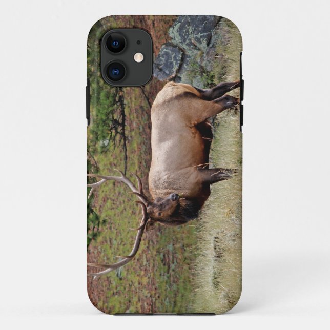 Colorado Elk iPhone 5 Case-Mate iPhone Case (Back)