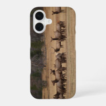 Colorado Elk Phone Case