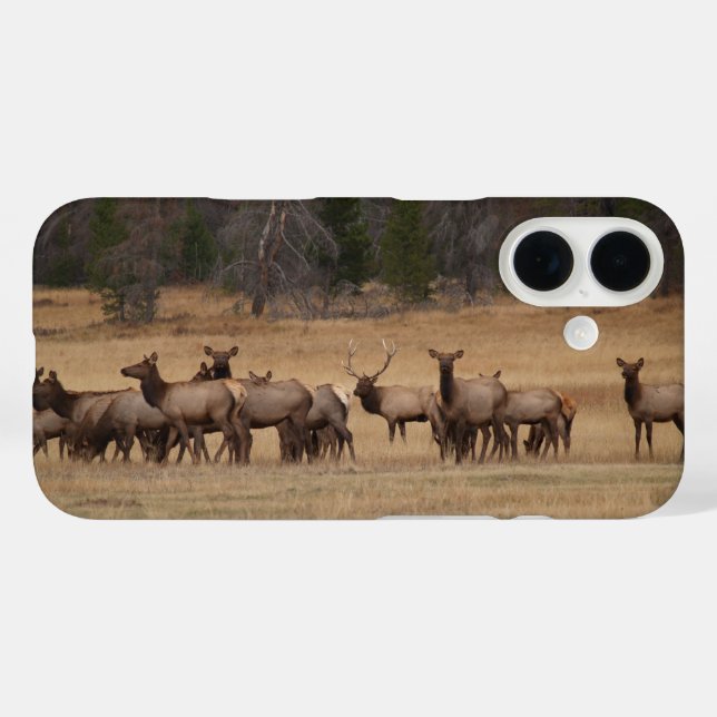 Colorado Elk Phone Case (Back (Horizontal))
