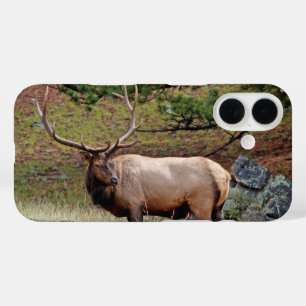 Colorado Elk Phone Case
