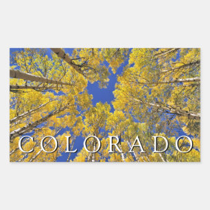 Colorado Fall   Aspen Forest in Autumn Rectangular Sticker