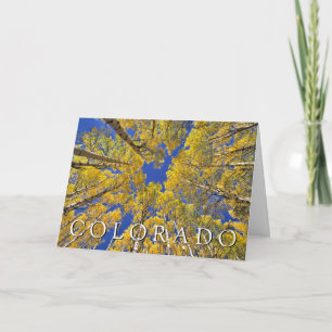 Colorado Fall   Aspen Forest in Autumn Thank You Card