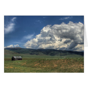 Colorado Farm