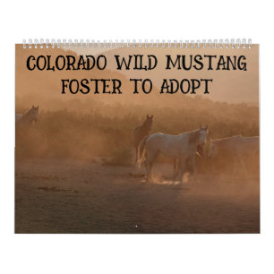 Colorado Foster to Adopt Calendar