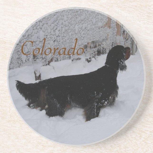 Colorado Gordon Setter in Snowstorm Coaster (Front)
