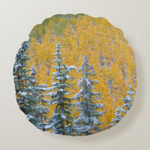Colorado, Grand Mesa. Early snowfall on forest Round Cushion
