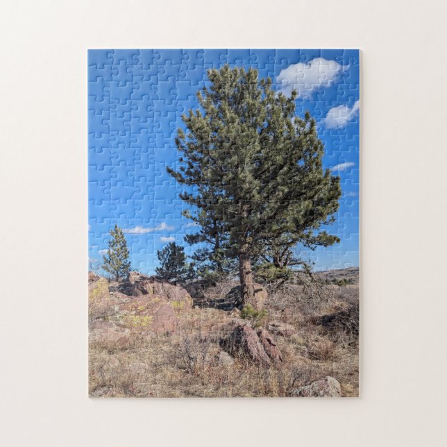 Colorado Landscape along Flatirons Trail  Jigsaw Puzzle (Vertical)