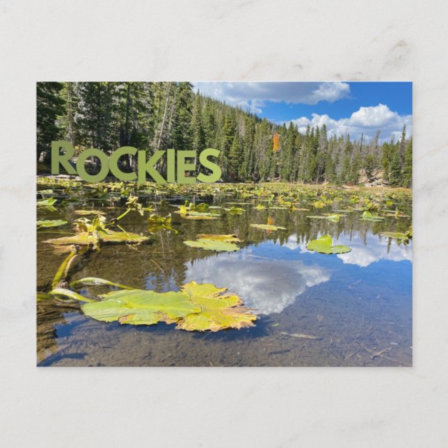 Colorado Lily Pad Rocky Mountains Lake Postcard (Front)