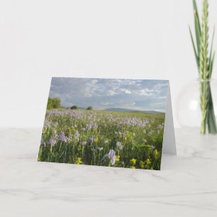 Colorado Mountain Wildflowers All Occasion Card