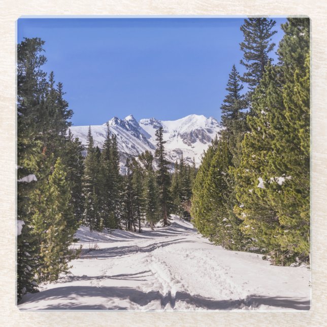 Colorado Mountains Snowy Trail Glass Coaster (Front)