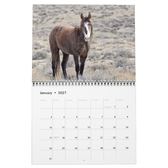 Colorado Mustangs Calendar (Jan 2027)