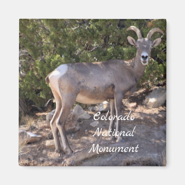 Colorado National Monument Magnet (Front)