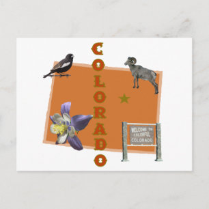 Colorado Postcard