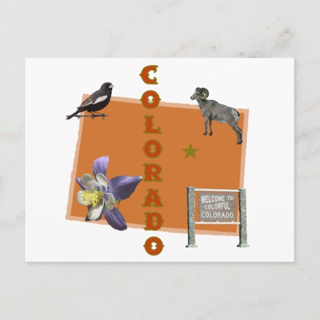 Colorado Postcard (Front)