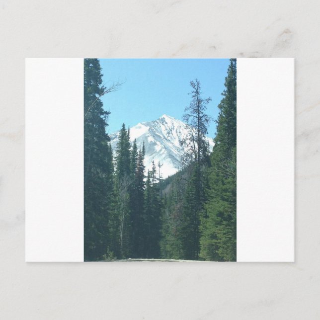 COLORADO POSTCARD (Front)