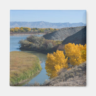 Colorado River in Autumn Magnet