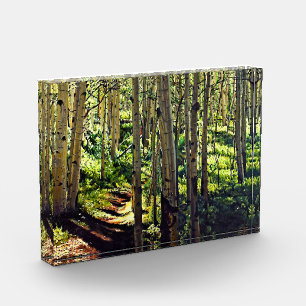 Colorado Rocky Mountain Aspen Trees Photo Block