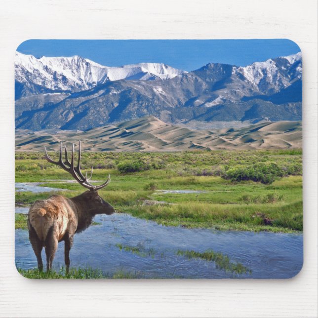 Colorado Rocky Mountains Elk Mouse Pad (Front)