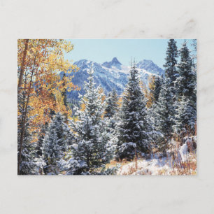 Colorado, San Juan Mountains, First snow Postcard