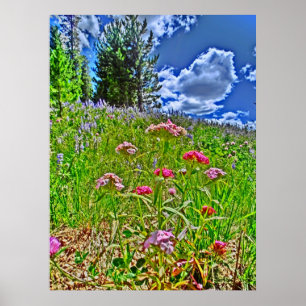 Colorado scenic canvas print