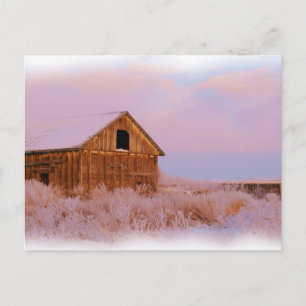 COLORADO SHED POSTCARD