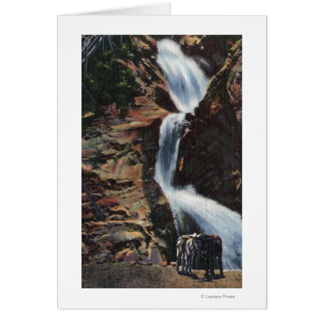 Colorado Springs, CO - Lower Three of Seven Fall (Front)