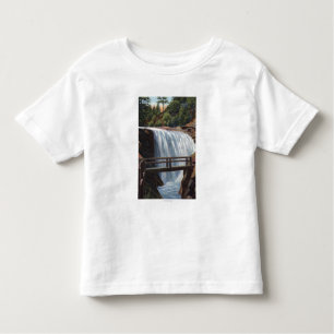 Colorado Springs, CO - Ramona, First of 7 Toddler T-Shirt
