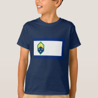 Colorado Springs Flag