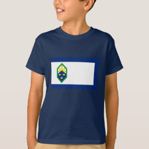 Colorado Springs Flag T-Shirt