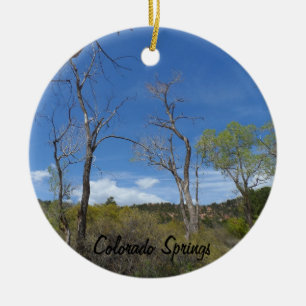 Colorado Springs Park Ceramic Tree Decoration