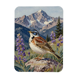 Colorado State Bird & Columbine Mountain Magnet